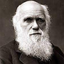 High School and the Darwinist rule