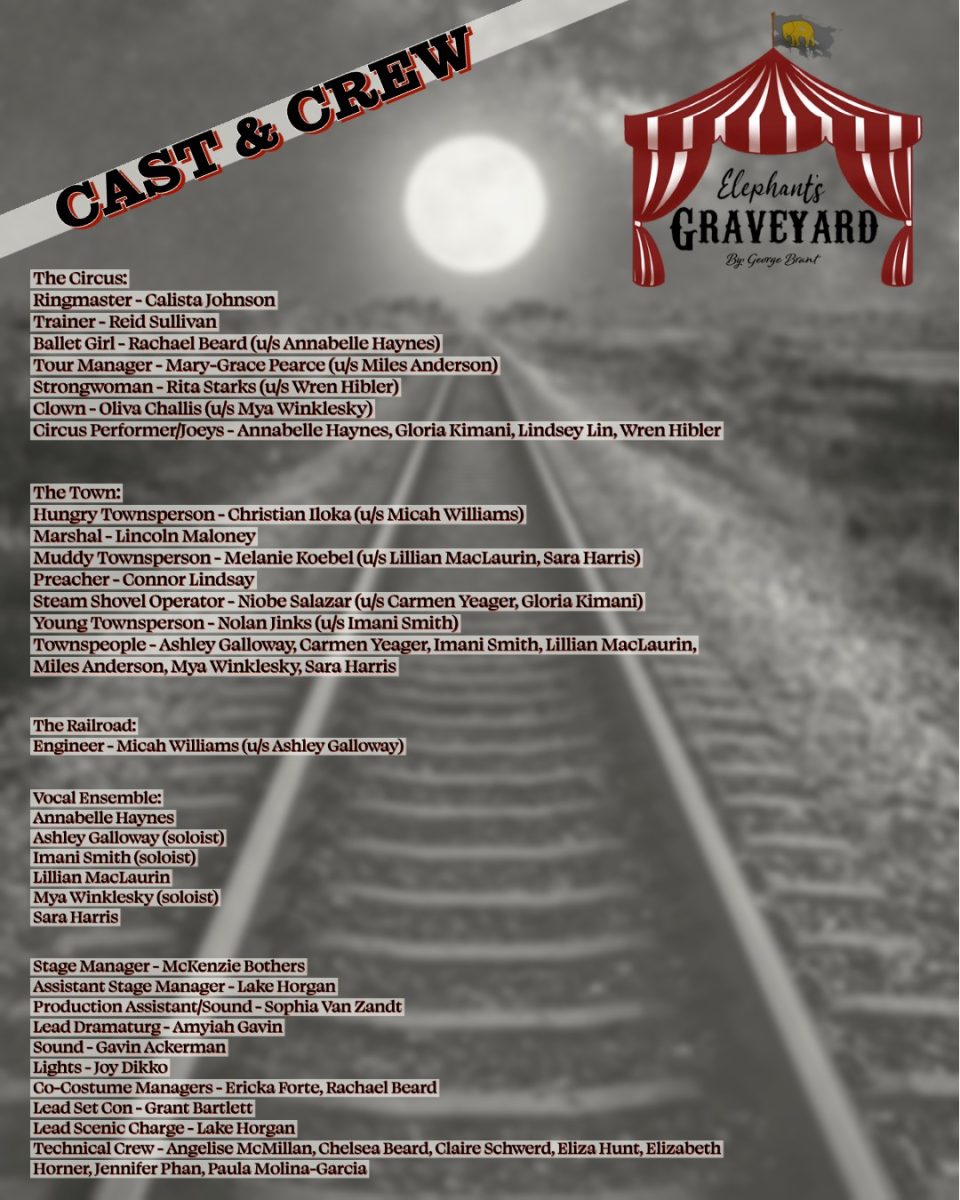 Casting Posted for Elephants Graveyard