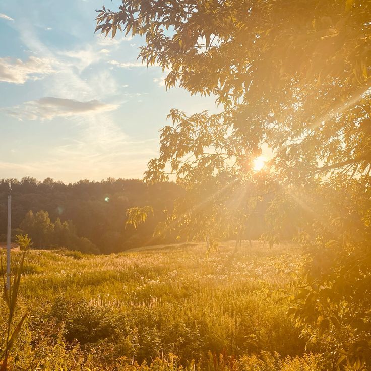 6 Summer Vacation Ideas